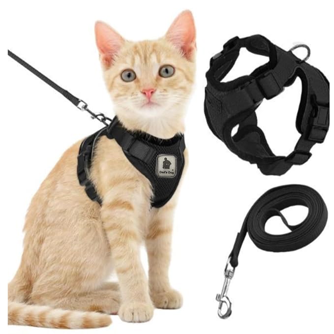 dad's dog cat sefty belt dad's dog cat sefty belt