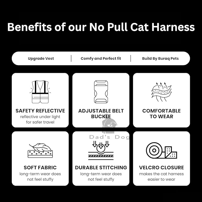 dad's dog cat sefty belt dad's dog cat sefty belt